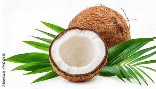coconut isolated coconuts with leaves on white background coconut and a half full depth of field