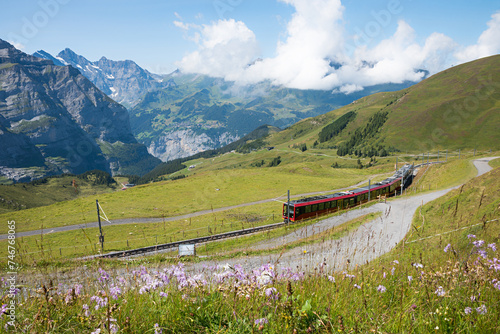 electrical rack railway to Jungfrau mountain. green meadows with flowers, switzerland