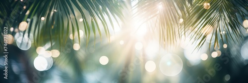 Sunlit palm leaves with beautiful bokeh effect overlooking the serene ocean background