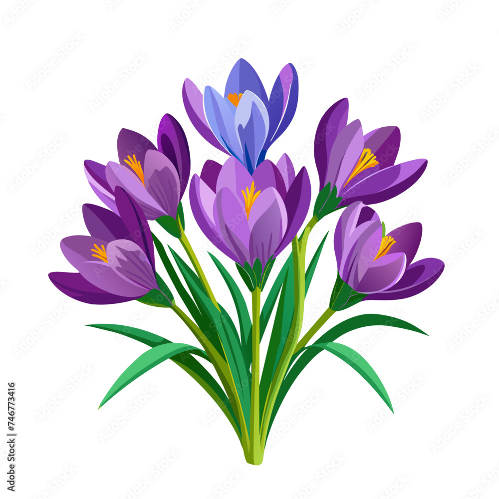 Fototapeta premium spring bouquet of crocus flowers with green leaves on white