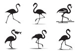 Flamingo icon vector art illustration