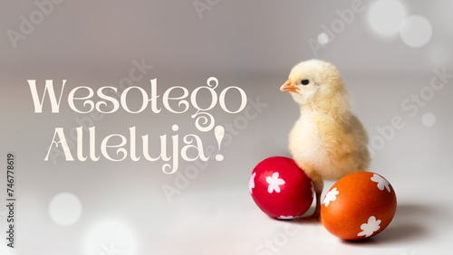 Wesołego Alleluja! - Wielkanoc, kurczaczek i dwie pisanki, życzenia wielkanocne © Klaudia Baran