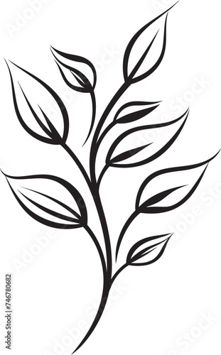 Inked Leaves Black Vector Emblem Botanical Beauty Plant Leaves Logo Design © BABBAN