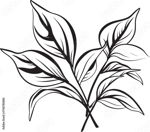 Handcrafted Nature Vector Graphic Icon Sketchy Foliage Black Vector Logo Emblem © BABBAN