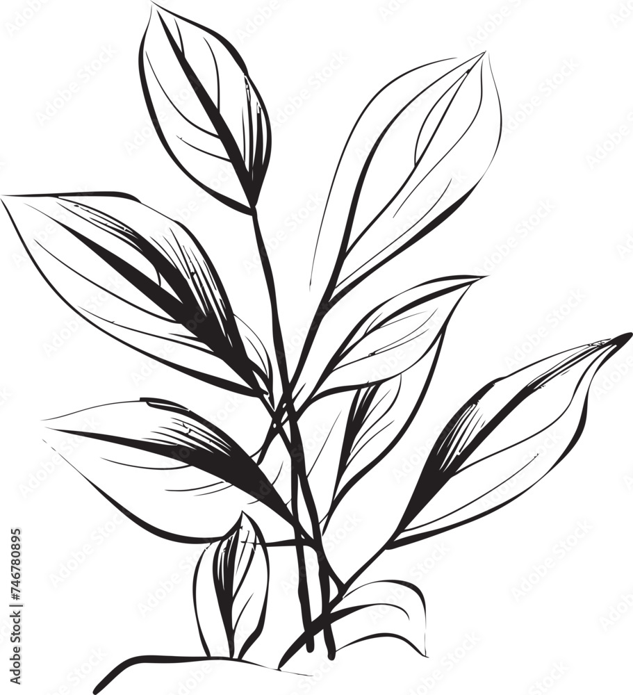 Leafy Doodles Plant Leaves Badge Emblem Natural Strokes Vector Leaf Logo Leafy Doodles Plant Leaves Badge Emblem Natural Strokes Vector Leaf Logo