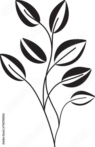 Inked Leaves Black Vector Leaf Badge Botanical Beauty Plant Leaves Icon Design