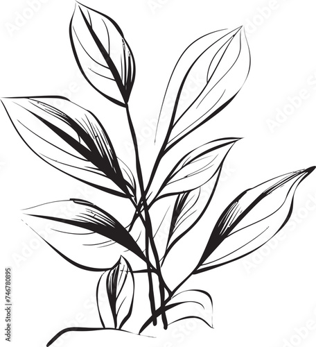 Leafy Doodles Plant Leaves Badge Emblem Natural Strokes Vector Leaf Logo © BABBAN