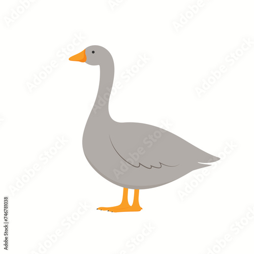 Cute cartoon grey goose. Vector illustration