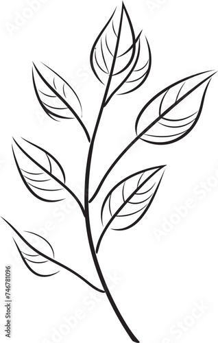 Organic Artistry Plant Leaves Graphic Icon Botanical Brushstrokes Vector Leaf Badge Emblem © BABBAN