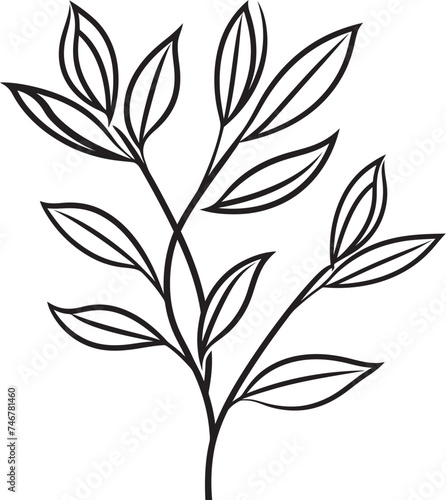 Organic Doodles Hand Drawn Badge Botanical Sketchbook Black Vector Symbol