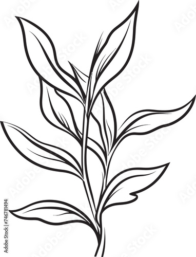 Leafy Sketch Hand Drawn Logo Design Botanical Beauty Black Vector Leaf Badge © BABBAN