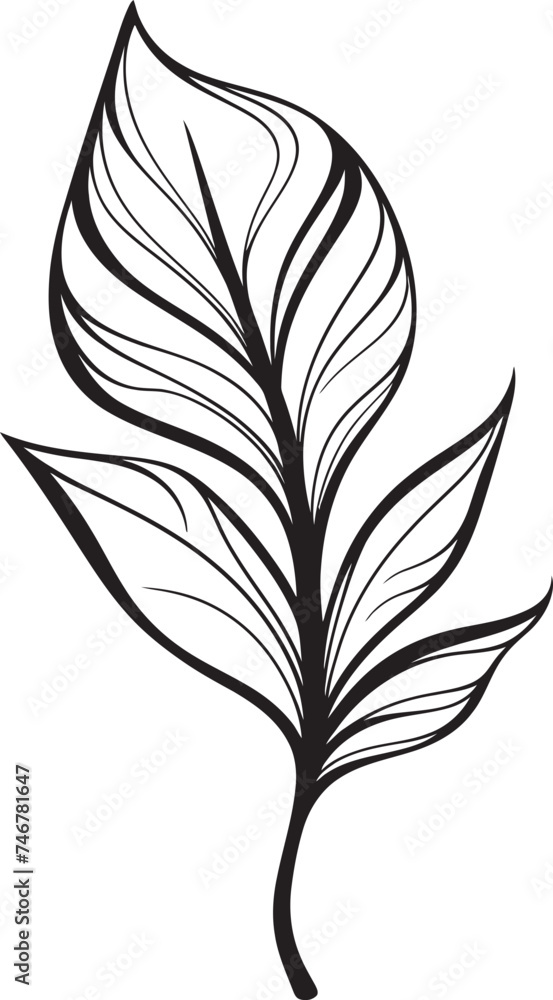 Sketchy Sprouts Hand Drawn Logo Badge Lush Drawings Black Vector Leaf Icon Sketchy Sprouts Hand Drawn Logo Badge Lush Drawings Black Vector Leaf Icon