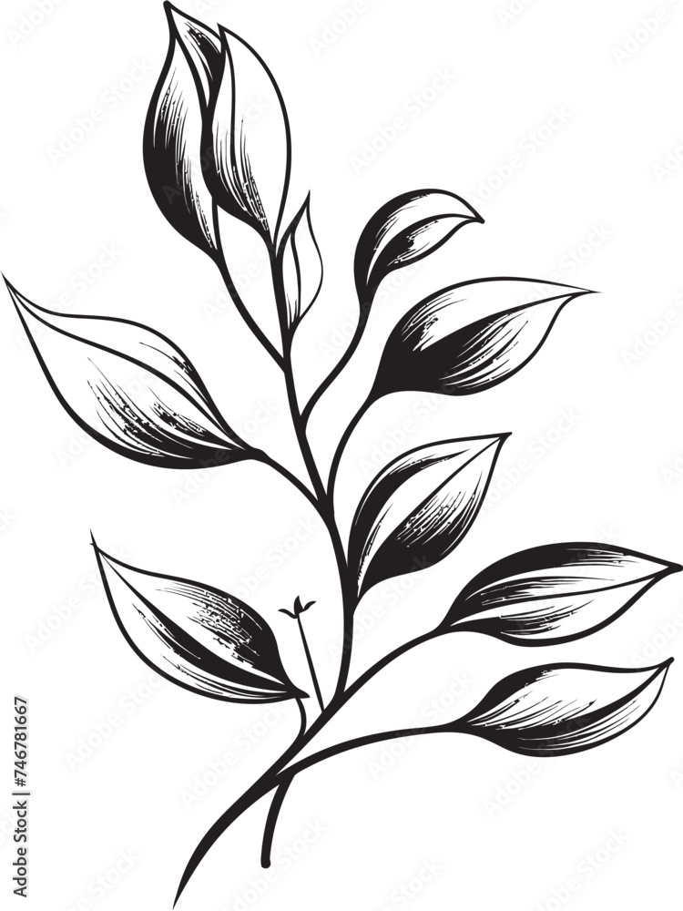 Leafy Sketch Hand Drawn Leaf Badge Botanical Beauty Black Vector Leaf Design Leafy Sketch Hand Drawn Leaf Badge Botanical Beauty Black Vector Leaf Design