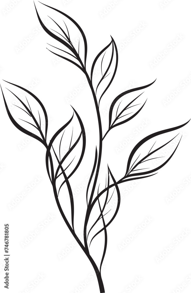 Greenery Sketch Vector Emblem Badge Flora Artistry Hand Drawn Leaf Icon