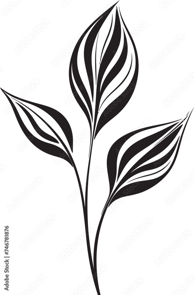 Leafy Sketch Hand Drawn Leaf Graphic Botanical Beauty Black Vector Logo Emblem