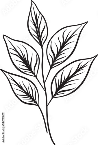 Flora Artistry Hand Drawn Leaf Icon Verdant Vision Black Vector Logo Emblem © BABBAN