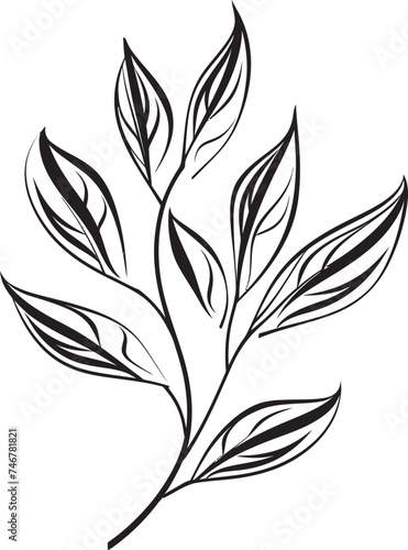 Leafy Lines Plant Leaves Emblem Design Botanical Bliss Vector Graphic Design © BABBAN