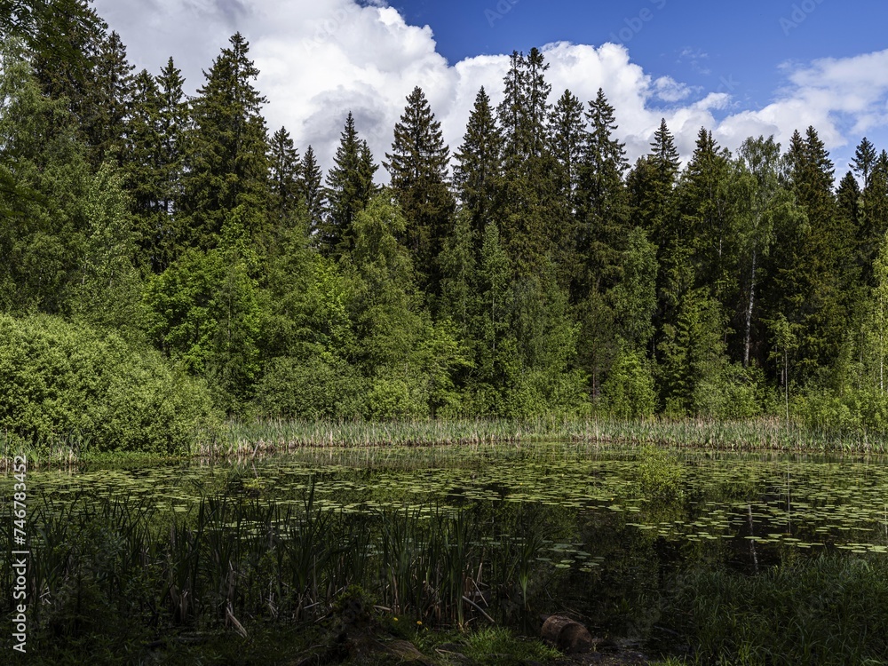 Beautiful landscape on the Vsevolozhsk Lakes, in the Leningrad region in North-West Russia Beautiful landscape on the Vsevolozhsk Lakes, in the Leningrad region in North-West Russia