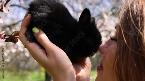 woman and black cute little bunny touching noses against spring blossom tree branches.girl and blonde girl nose to nose with rabbit.easter is coming, happy smiling female photo