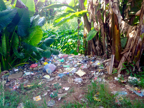 tropical forest with trash