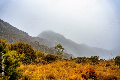 misty morning in the mountains photo