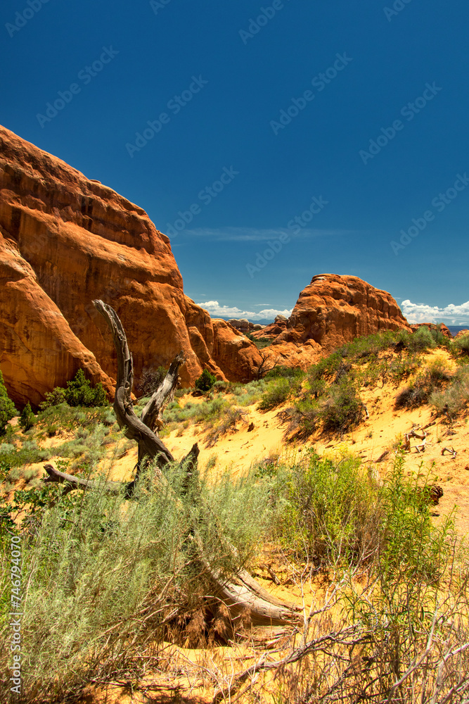 Obraz premium The Arches National Park near Moab, Utah, USA
