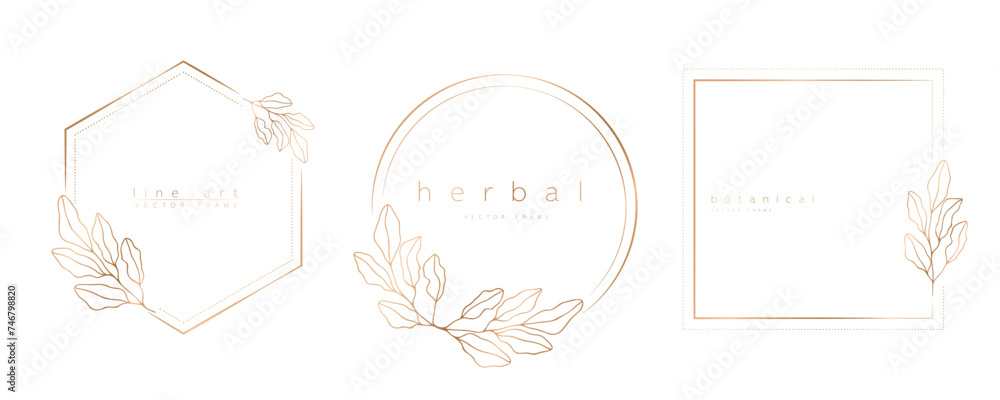 Set of frame templates in minimal linear style with hand drawn branches and leaves. Elegant frame. Botanical vector illustration for labels, corporate identity, wedding invitation, logo, save the date Set of frame templates in minimal linear style with hand drawn branches and leaves. Elegant frame. Botanical vector illustration for labels, corporate identity, wedding invitation, logo, save the date
