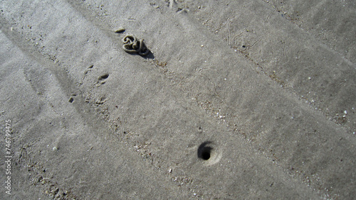 Sandy bottom 