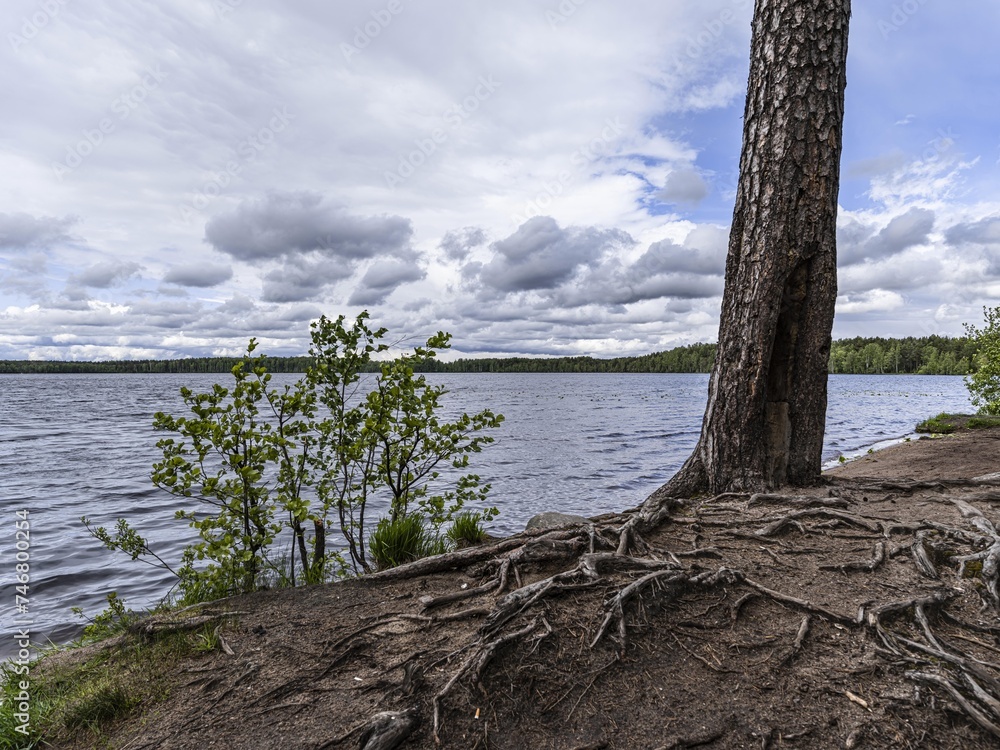 Beautiful landscape on the Vsevolozhsk Lakes, in the Leningrad region in North-West Russia Beautiful landscape on the Vsevolozhsk Lakes, in the Leningrad region in North-West Russia