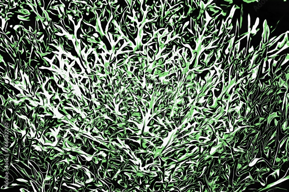 Obraz premium Illustration of a Beautiful white and green curved leaves Brassica oleracea on the flower bed in a garden in autumn
