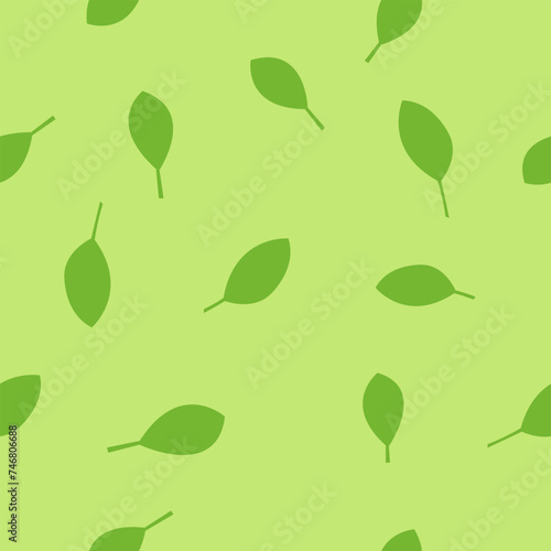 Oregano herb seamless pattern. Green background.