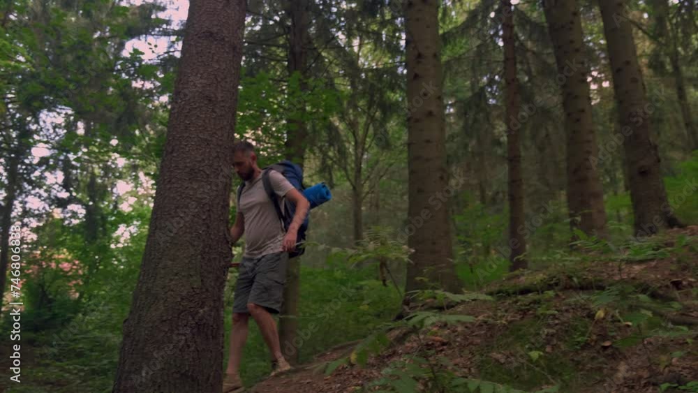 Tourist with backpack Hiking on Adventure Trip in Natural Landscape Woodland. Wide shot Adventure Inspiring travel with Hiking equipment. side view Tourist with backpack Hiking on Adventure Trip in Natural Landscape Woodland. Wide shot Adventure Inspiring travel with Hiking equipment. side view