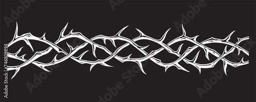 black crown of thorns image isolated on black background photo