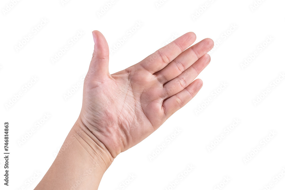 hand on isolated background clipping path hand on isolated background clipping path