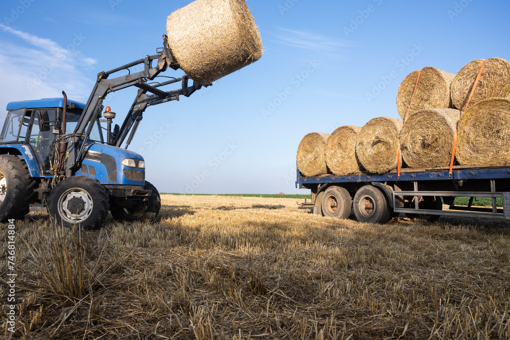 Obraz premium Agriculture straw wagon in field