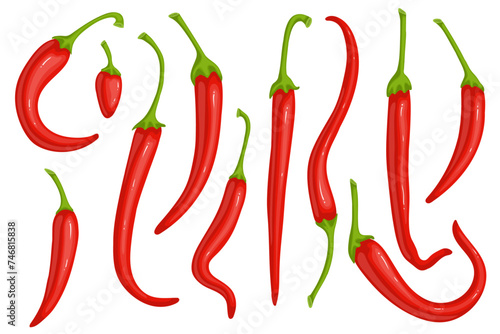 Set of red, hot chili peppers. Vector graphics.