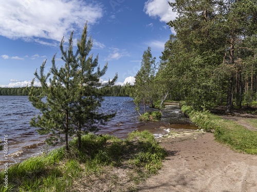 Beautiful landscape on the Vsevolozhsk Lakes, in the Leningrad region in North-West Russia photo