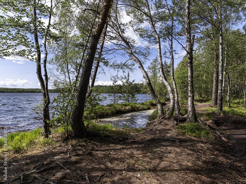 Beautiful landscape on the Vsevolozhsk Lakes, in the Leningrad region in North-West Russia Beautiful landscape on the Vsevolozhsk Lakes, in the Leningrad region in North-West Russia