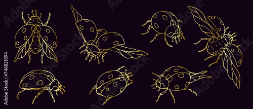 Set of winged insects, golden outline of ladybugs.Vector graphics.