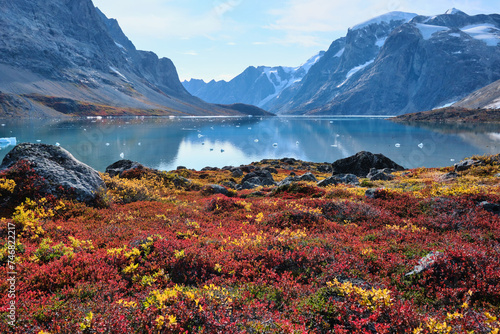 Skoldungen and fjord with autumn tundra vegetation.  East Greenland.