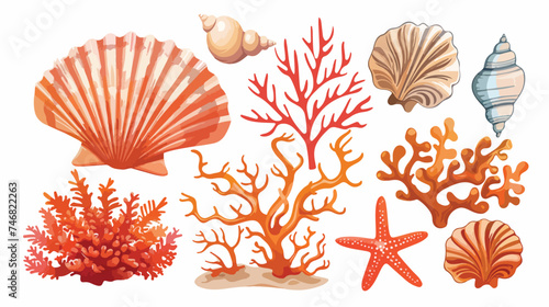 Set of different sea shells corals and starfishes. 