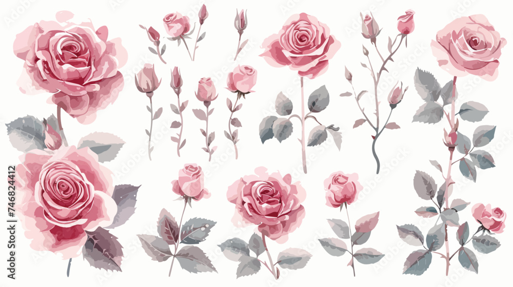 watercolor arrangements with roses. collection garden