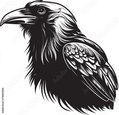 Raven Resting on Skull Icon Vector Graphic Expression Enigmatic Raven and Skull Emblem Vector Logo Conceptualization