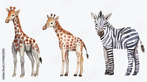 Fototapeta Naklejka Na Ścianę i Meble -  Watercolor set with wild savannah animals. Giraffe 