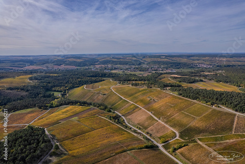 Foto Le vignoble Champenois autour de les Riceys dans l'Aube à l'automne