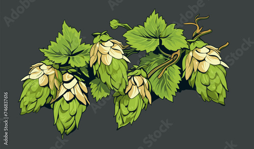 Hops vector flat minimalistic asset isolated vector style illustration