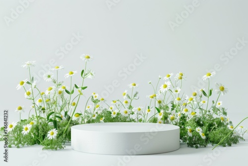 Cylindrical podium plinth with chamomile flowers Empty shelf background