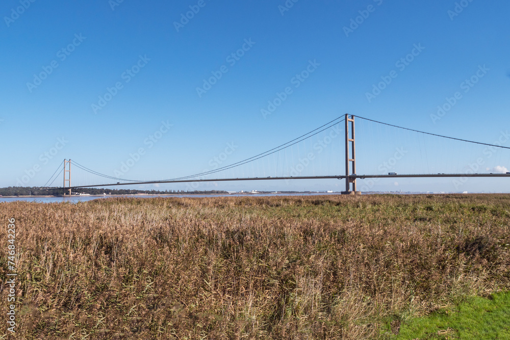 View of the Humber Bridge seen across a reedbed, England View of the Humber Bridge seen across a reedbed, England