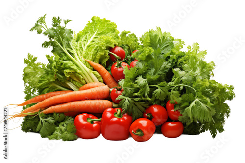Vegetable Garden Bounty Isolated on Transparent Background