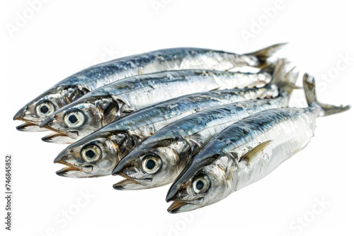 Isolated fresh sardines on white background